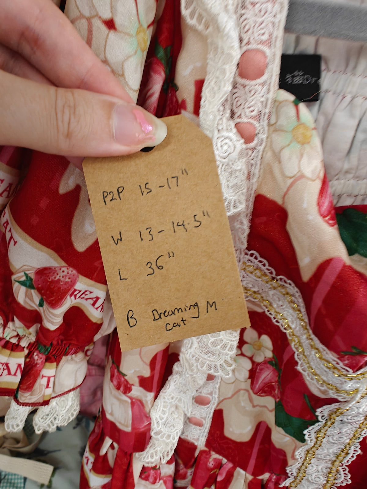 Dreaming Cat strawberries and cream OP dress size S